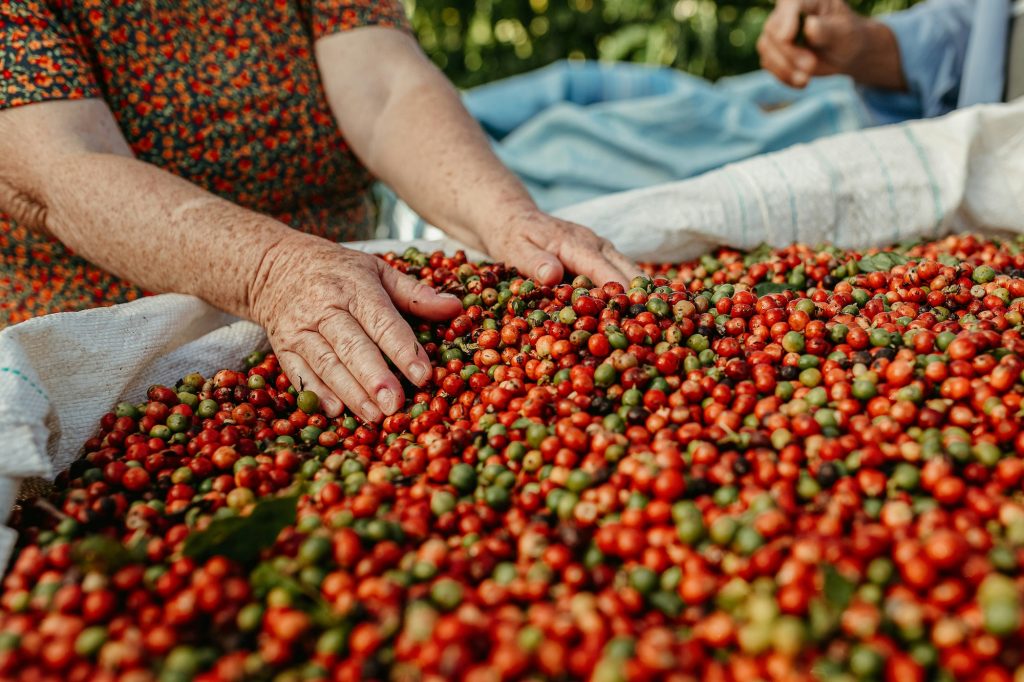 woman coffee beans